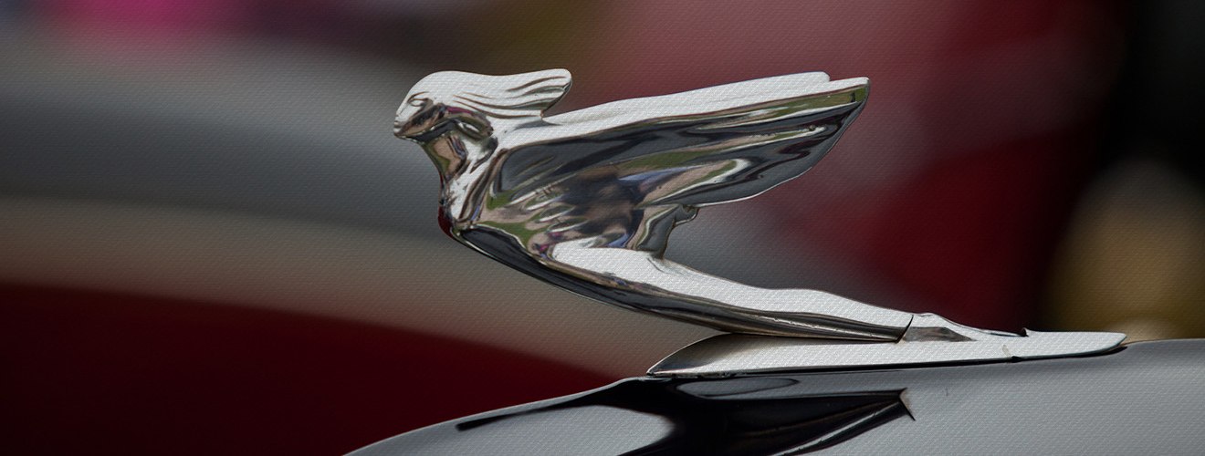 Hood Ornament